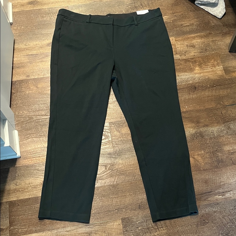 Lane Bryant Dark Green Trousers